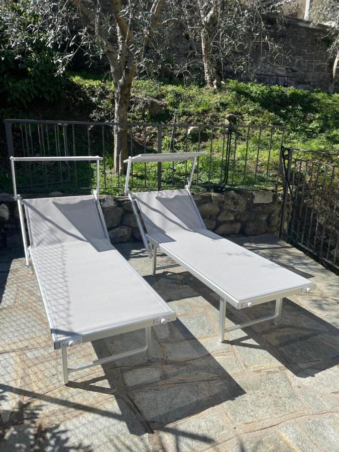 Casa Delle Olive 1 Apartment Oliveto Lario Ngoại thất bức ảnh
