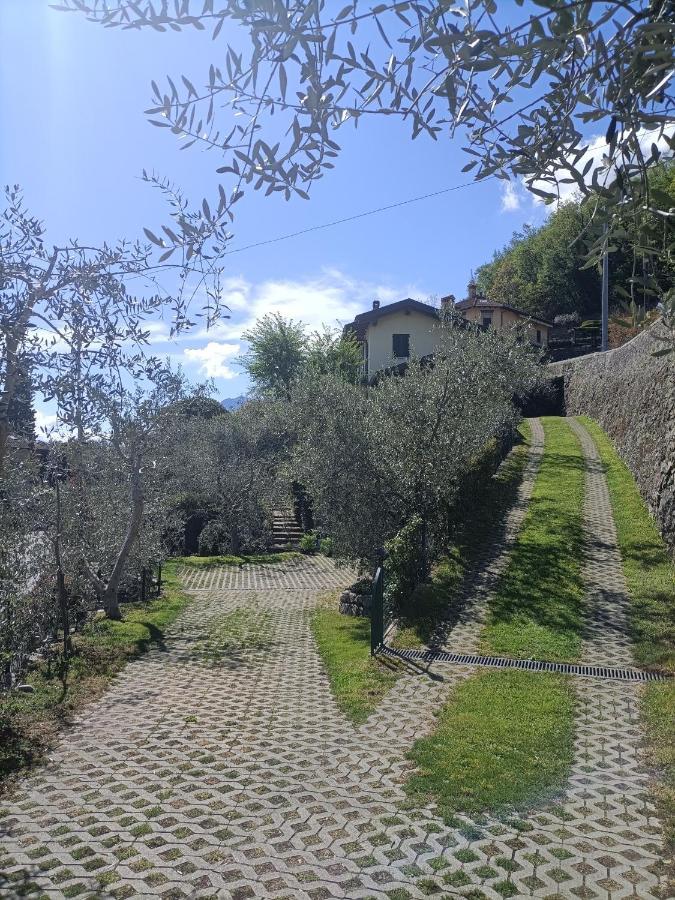 Casa Delle Olive 1 Apartment Oliveto Lario Ngoại thất bức ảnh